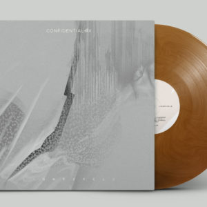 Light Cycle Vinyl